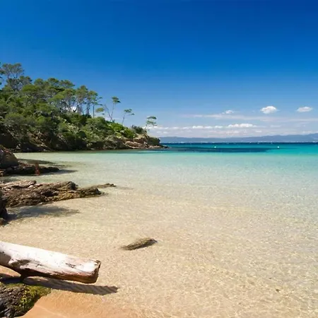 Appartamento Port Confort Terrasse/parking Privé *